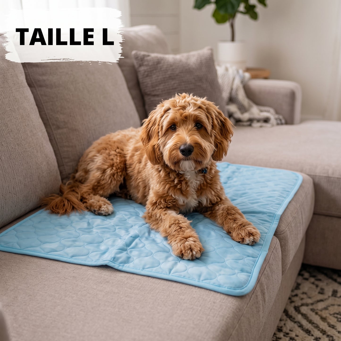 Tapis rafraîchissant pour chien Nuvia™
