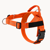 Harnais anti-traction pour chien Nuvia