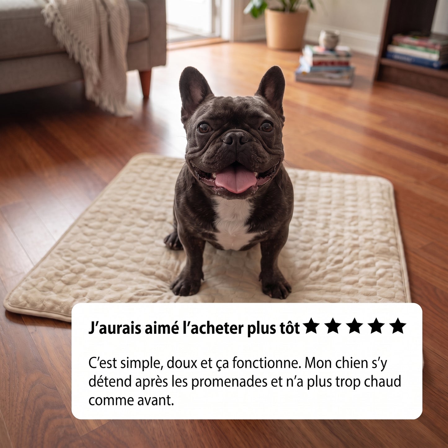 Tapis rafraîchissant pour chien Nuvia™