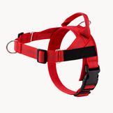 Harnais anti-traction pour chien Nuvia