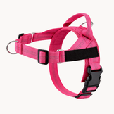 Harnais anti-traction pour chien Nuvia