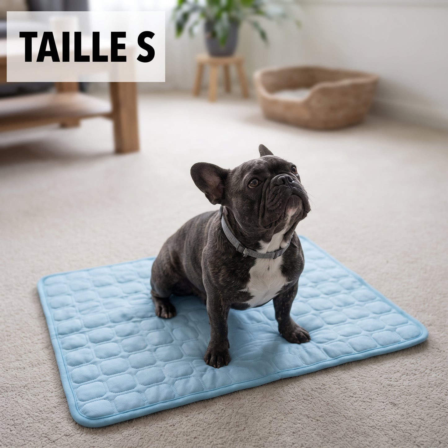 Tapis rafraîchissant pour chien Nuvia™