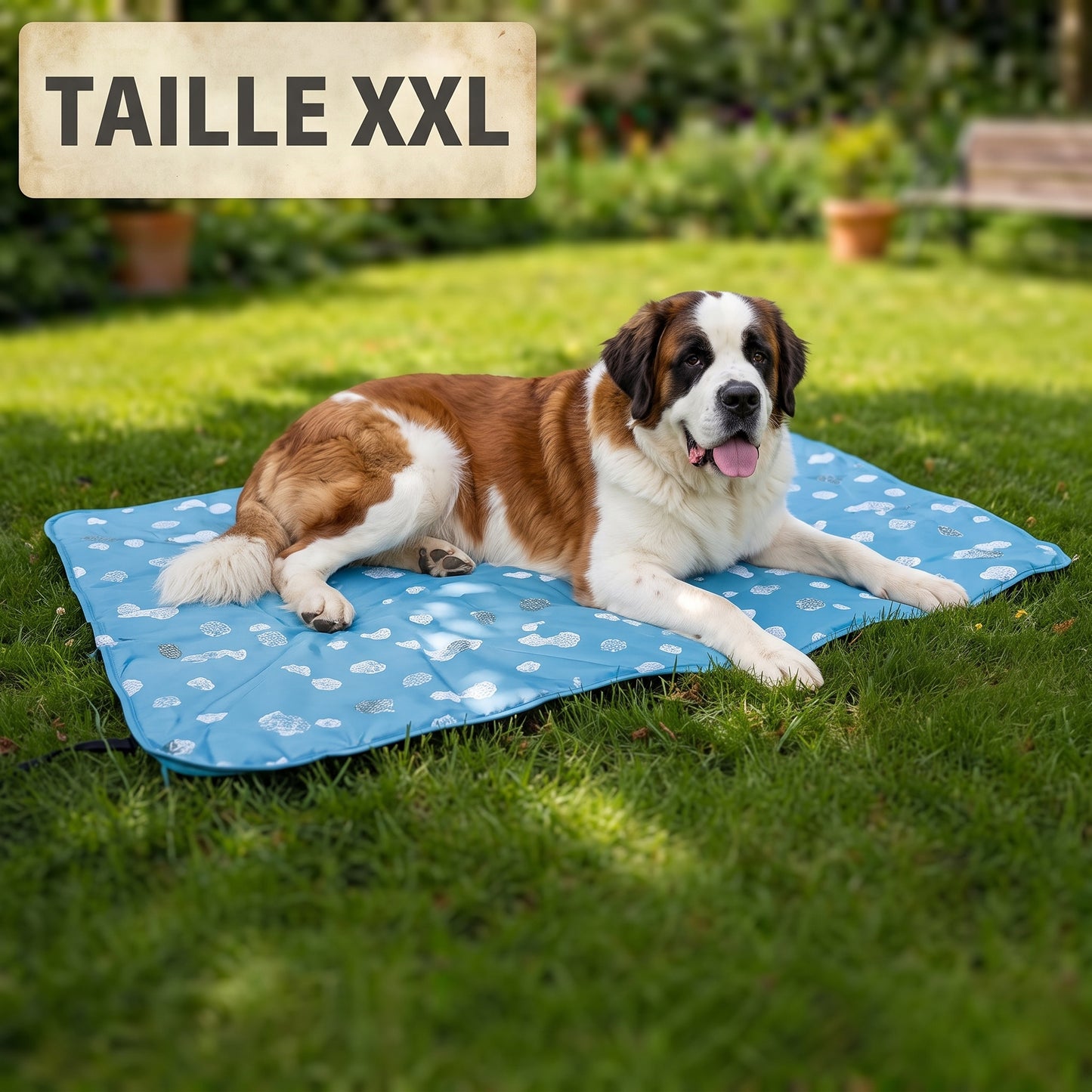 Tapis rafraîchissant pour chien Nuvia™