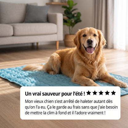 Tapis rafraîchissant pour chien Nuvia™