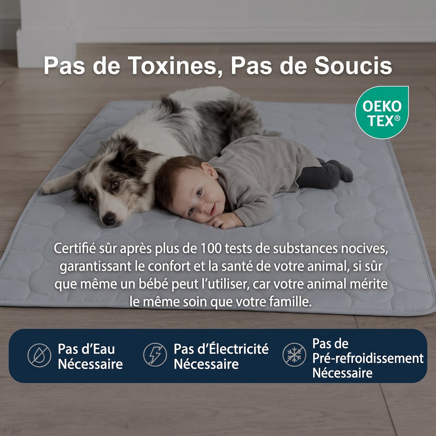 Tapis rafraîchissant pour chien Nuvia™