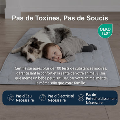 Tapis rafraîchissant pour chien Nuvia™