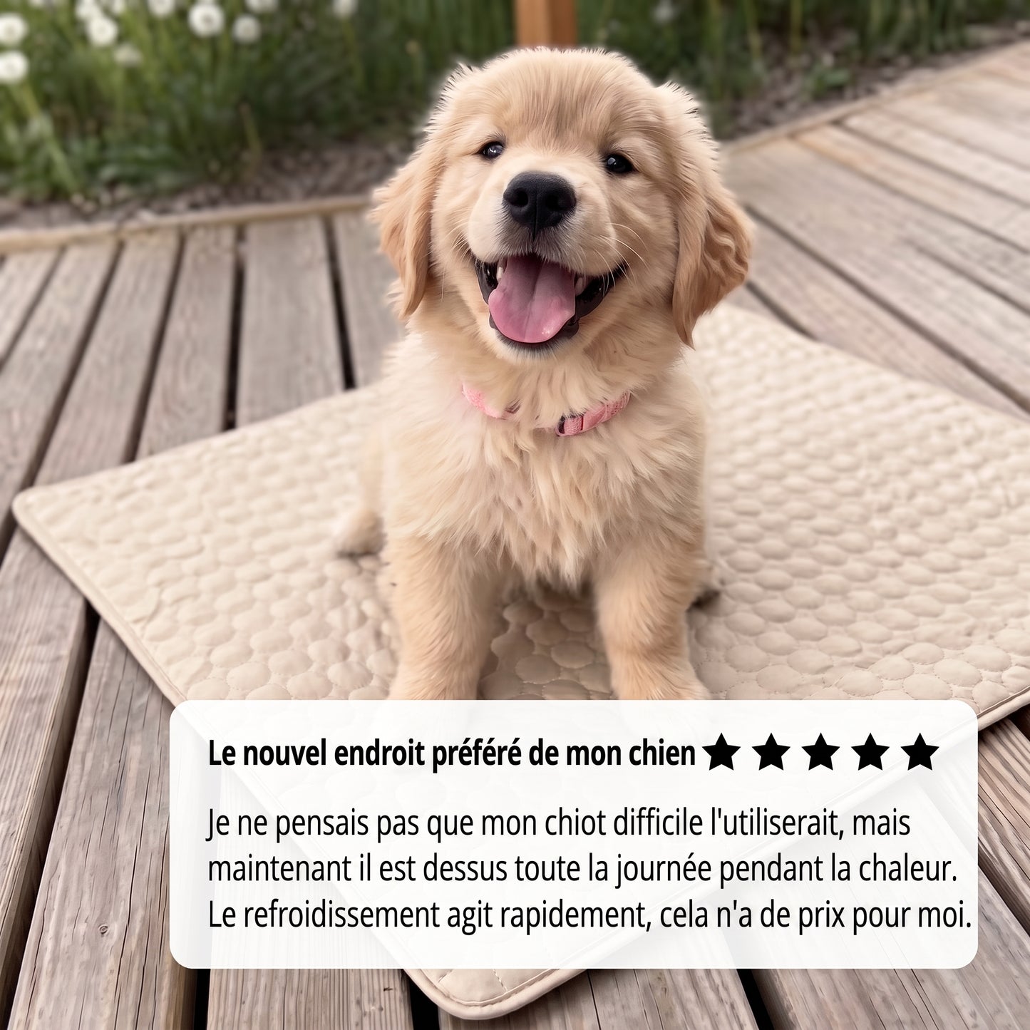 Tapis rafraîchissant pour chien Nuvia™