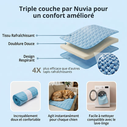 Tapis rafraîchissant pour chien Nuvia™