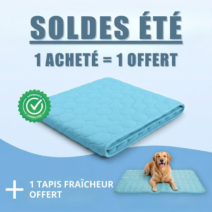 Tapis rafraîchissant pour chien Nuvia™