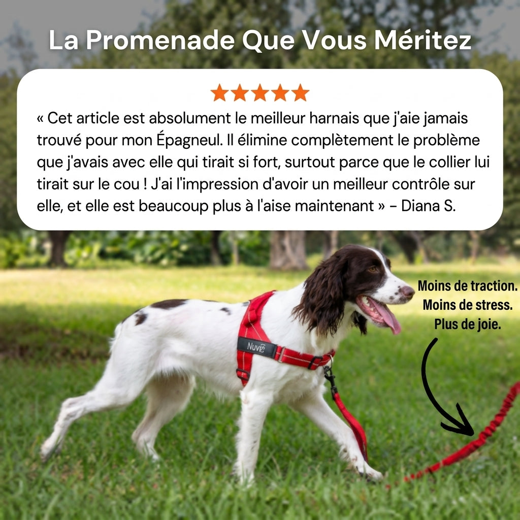 Harnais anti-traction pour chien Nuvia