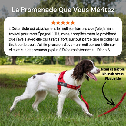 Harnais anti-traction pour chien Nuvia