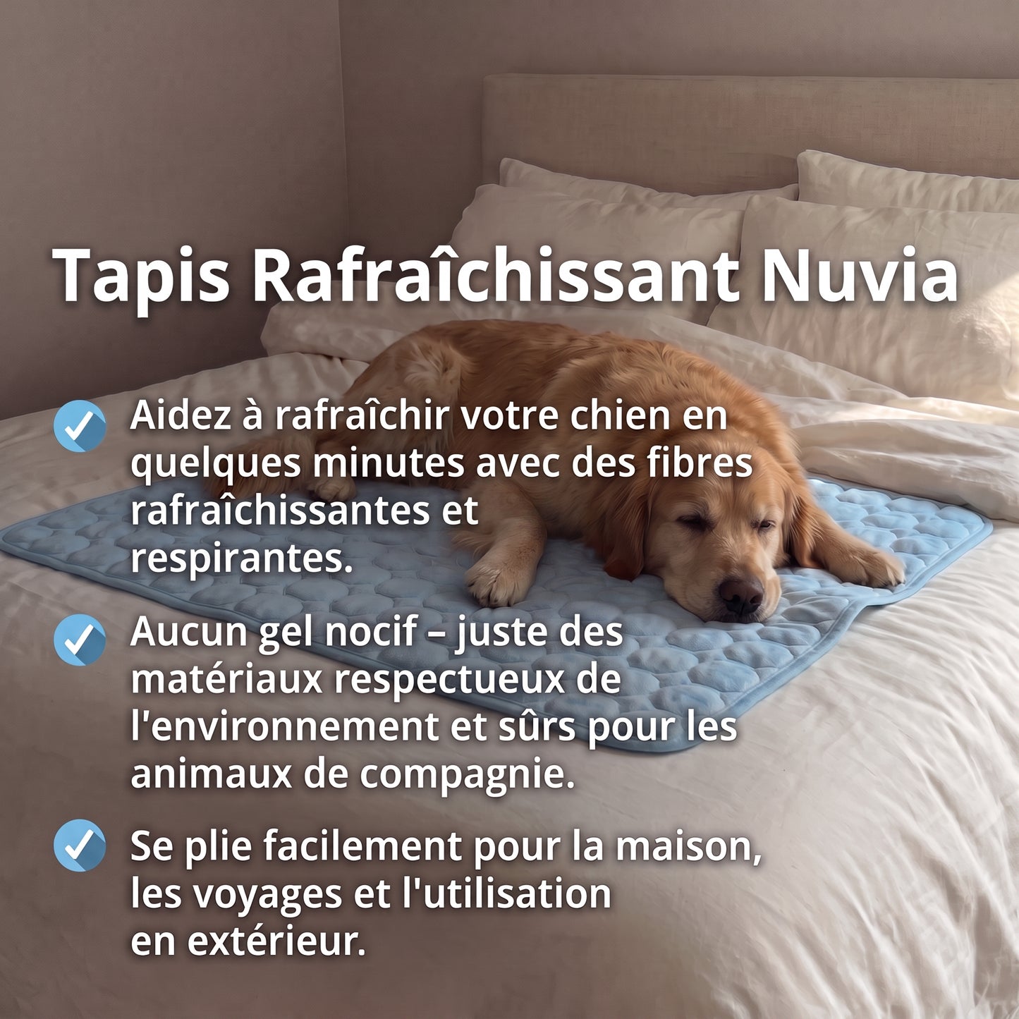 Tapis rafraîchissant pour chien Nuvia™