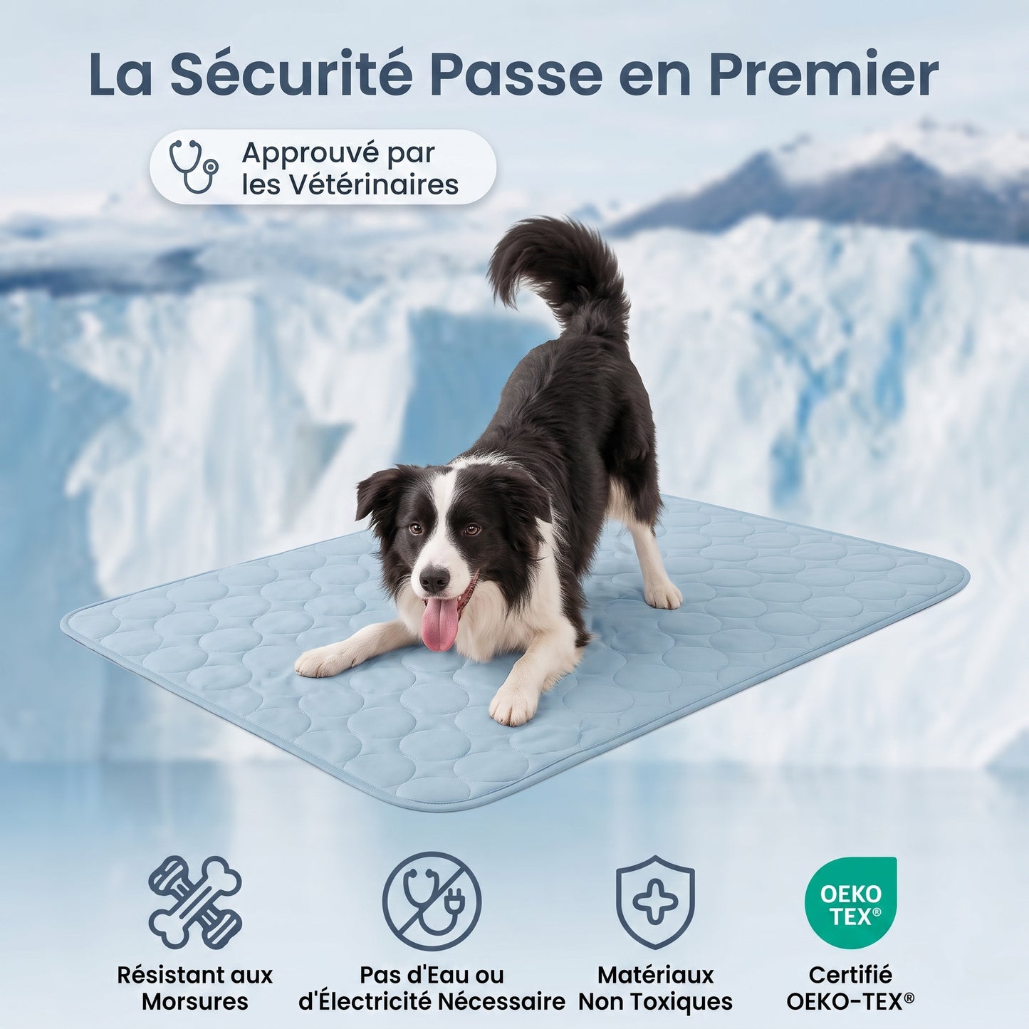 Tapis rafraîchissant pour chien Nuvia™