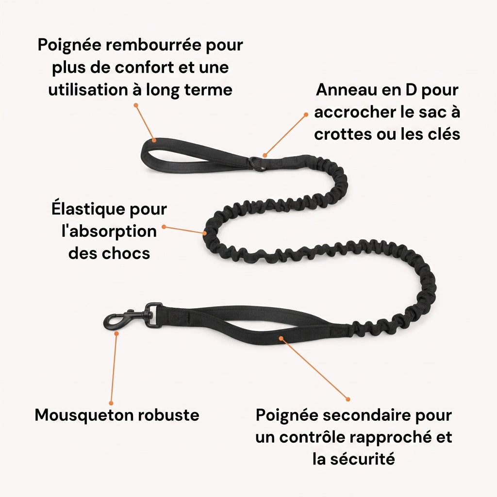Laisse élastique pour chien Nuvia