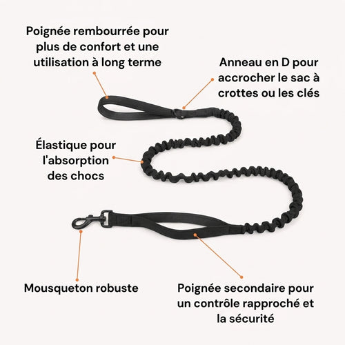 Laisse élastique pour chien Nuvia