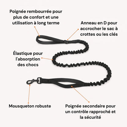 Harnais anti-traction pour chien Nuvia