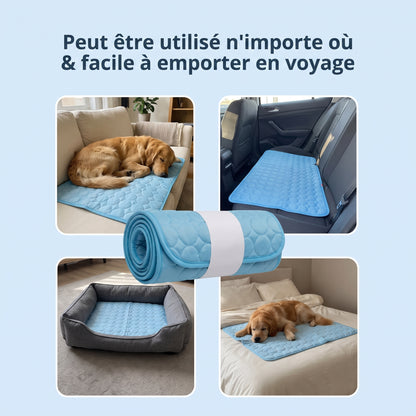 Tapis rafraîchissant pour chien Nuvia™