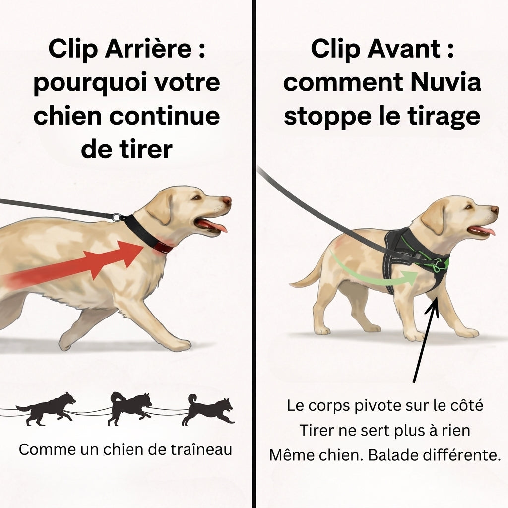 Harnais anti-traction pour chien Nuvia