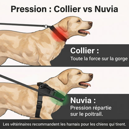Harnais anti-traction pour chien Nuvia